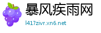 暴风疾雨网
